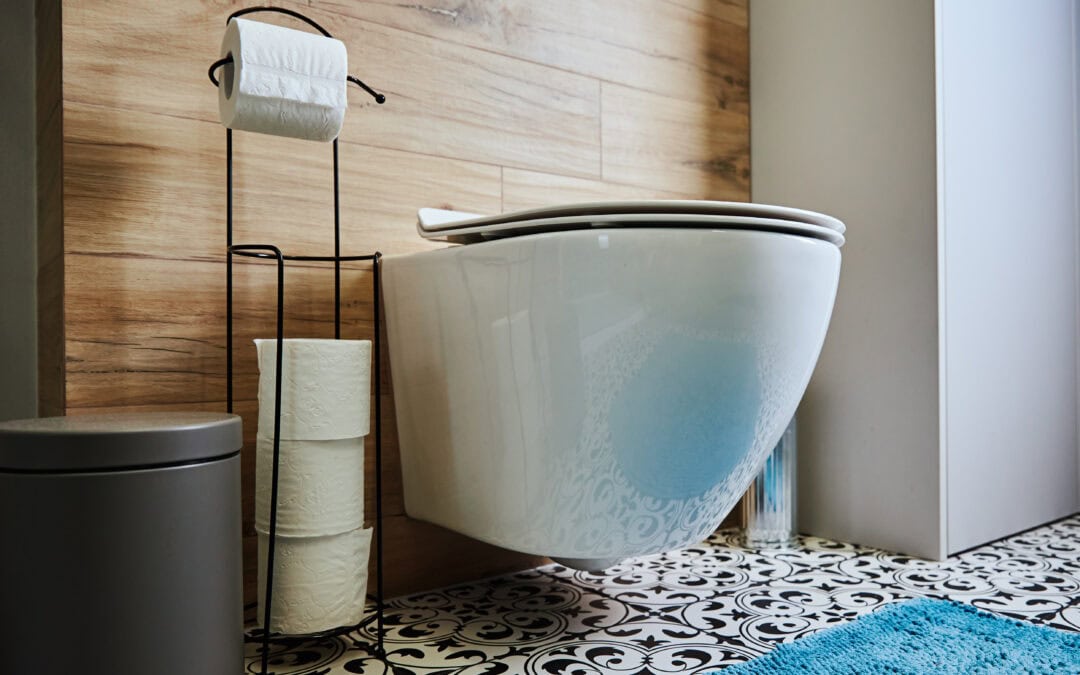 Ceramic toilet bowl and toilet paepr in bathroom interior