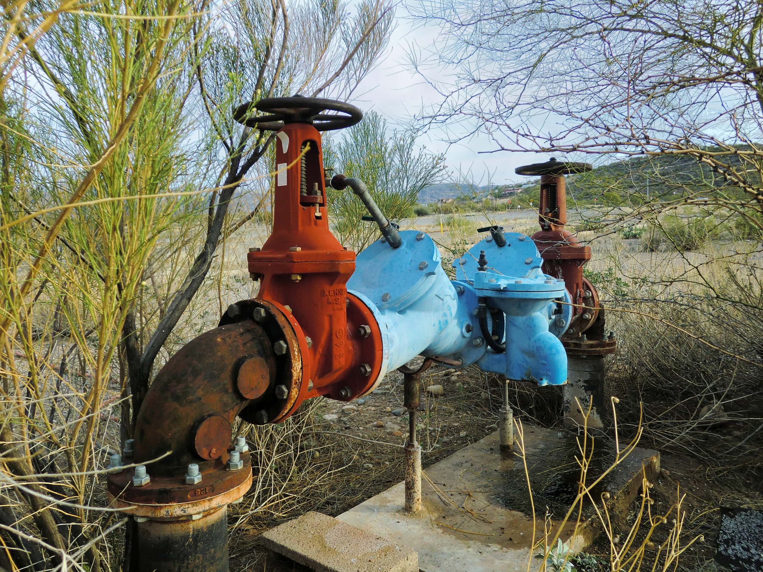colourful backflow prevention device