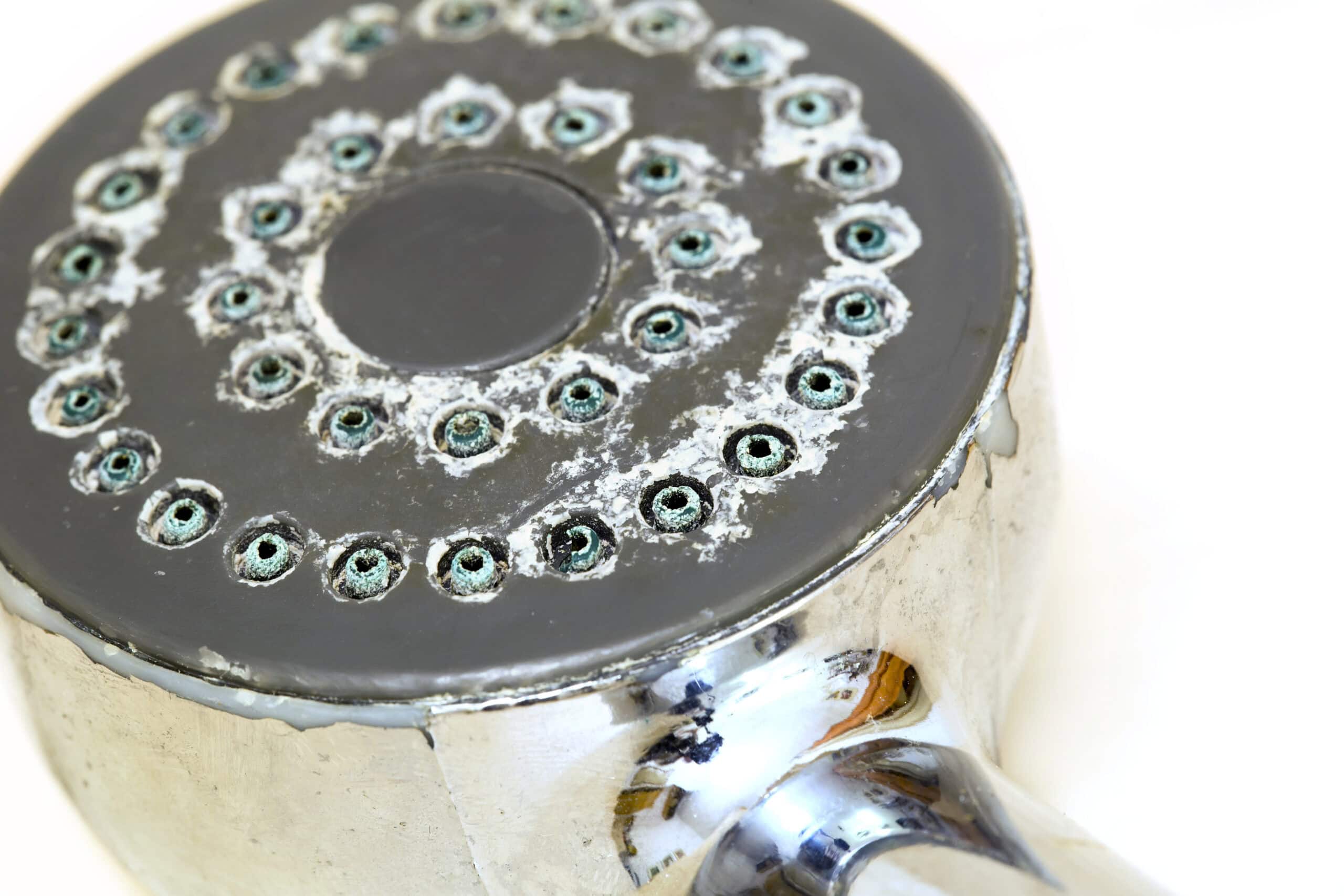 Closeup photo of a shower head with limescale due to hard water on a white background