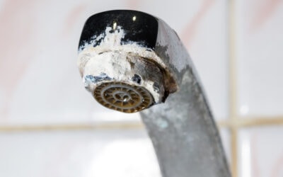 How Hard Water Affects Your Plumbing & What You Can Do About It
